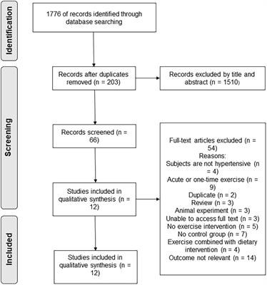 Frontiers | Effect Of Exercise On Vascular Function In Hypertension ...